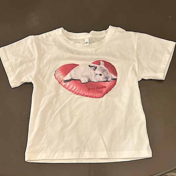 Tops - Cute bunny crop top